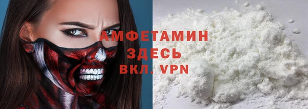 соль ск Алексин