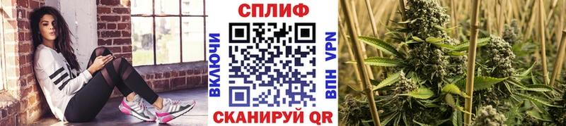 купить наркоту  Камбарка  Канабис ГИДРОПОН 